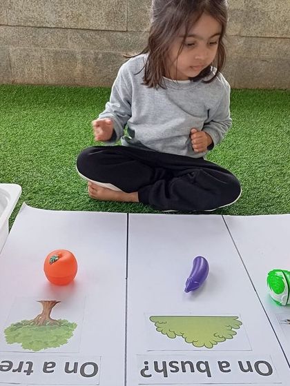 Knowledge Origin - Preschool & Kindergarten Programs Fostering Independence: Practical Life & Role Play photo 43