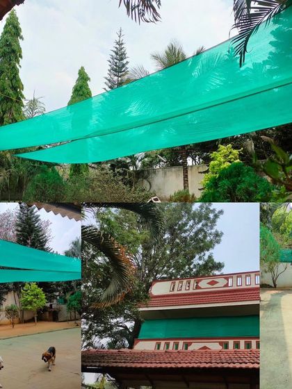 Stay - Dog Daycare Our Safe & Secure Space photo 4