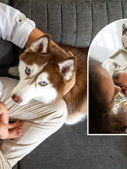 Welcoming a new baby is a monumental moment, and your first fur-baby is a huge part of that story. I focus on capturing those first gentle interactions, like Aspen the Husky's curious gaze at his new human sibling. These newborn and pet sessions are quiet, patient, and full of heart.