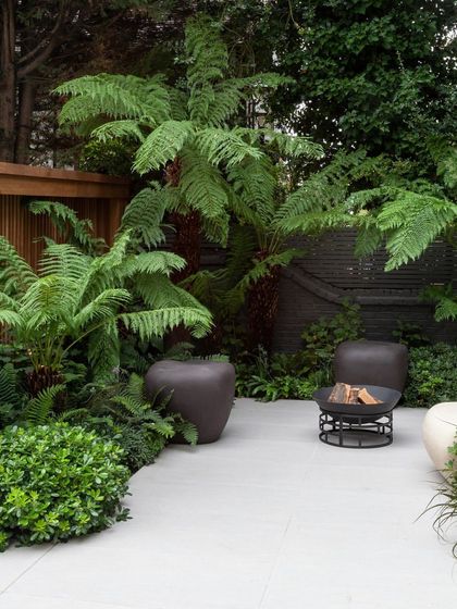 A contemporary patio featuring a fire pit and comfortable seating. The space is surrounded by exotic tree ferns, creating a private, jungle-like feel while offering modern comforts.