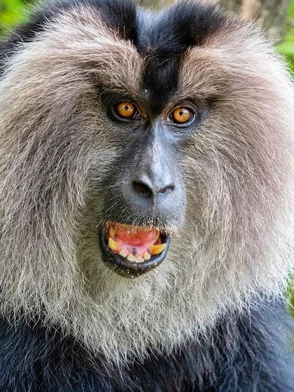 Additional Work photo 11