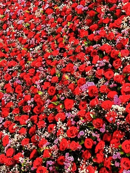 A beautiful sea of red roses and baby's breath. We often use mass floral arrangements like this to create high-impact, luxurious decor elements.
