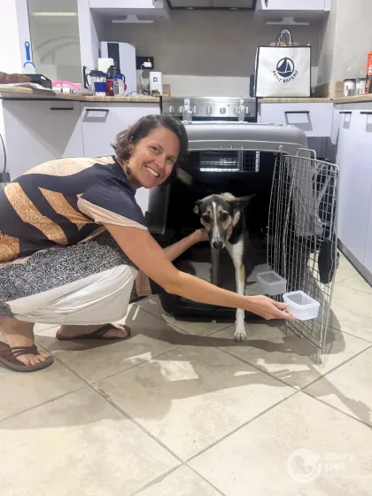 Home isn’t just a place, it’s a feeling. Naya finds her home again after a successful relocation from Dubai to Prague, settling into her new kitchen with her owner.
