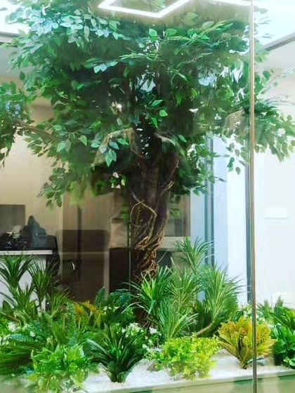 I provide realistic, large-scale artificial trees for indoor spaces. This tree is installed inside a glass enclosure in an office, adding a touch of nature to the corporate environment without any need for sunlight or water.