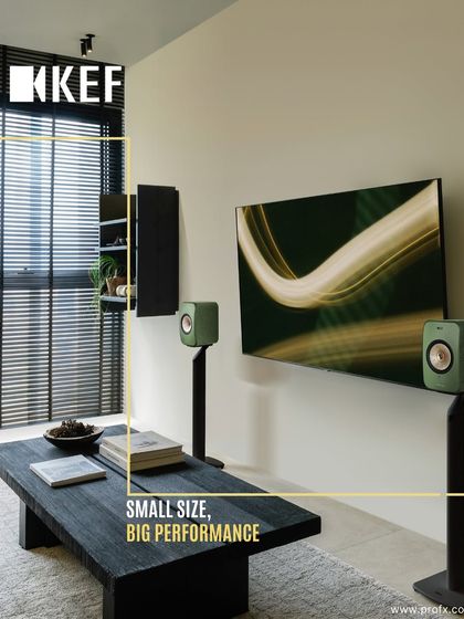 Pro FX - High-Fidelity (Hi-Fi) Audio Systems Wireless Hi-Fi Systems: The Future of Sound photo 16