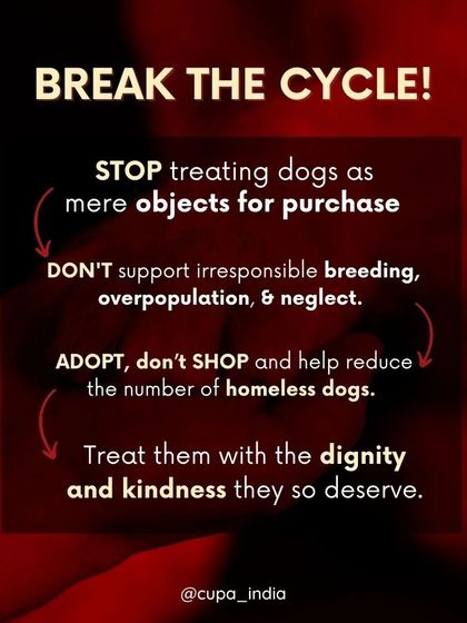 Cupa - Animal Cruelty Legal Aid & Advocacy Exposing Hidden Cruelty photo 6