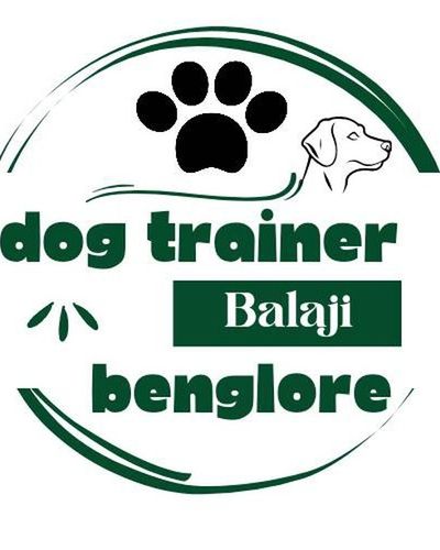 Dog Training