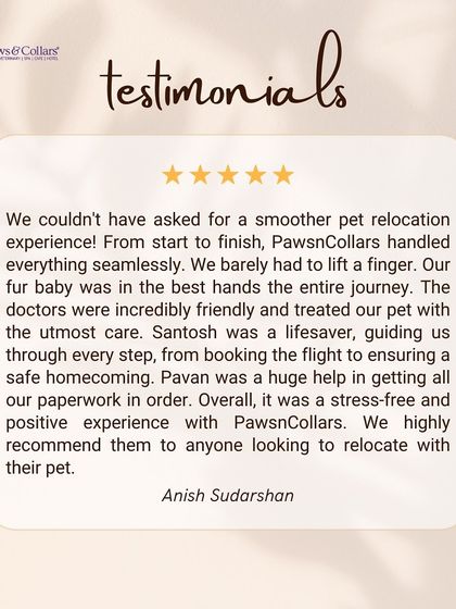PawsnCollars - Veterinary Care Seamless Pet Relocation, Worldwide photo 3