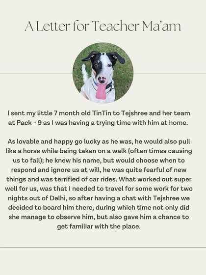 A letter from TinTin's guardian explaining the challenges they faced before he came to our Board & Train program.