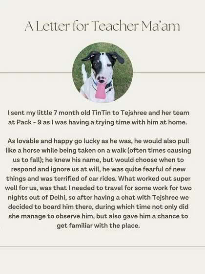 A letter from TinTin's guardian explaining the challenges they faced before he came to our Board & Train program.