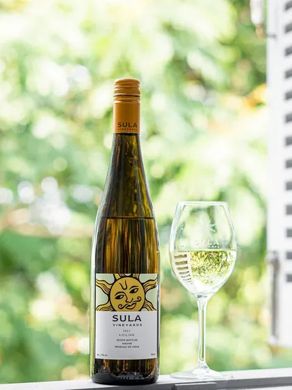 A simple, elegant shot of white wine against a beautiful, naturally lit background. The greenery outside the window is reflected in the glass, giving the image a fresh and serene feel.