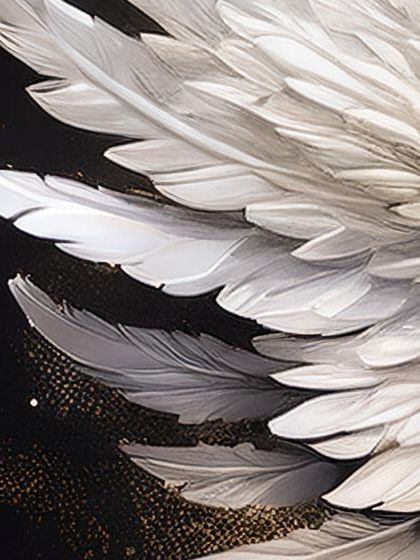 A close-up, abstract detail of white, feathery angel wings with hints of gold glitter against a black background. This image teases the magic of my fantasy photoshoots.