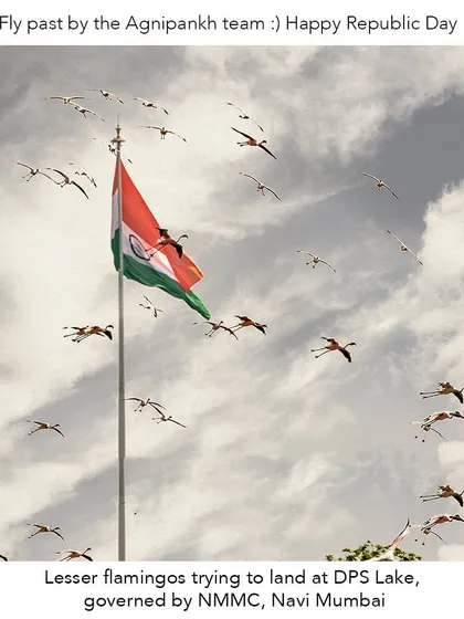 "Fly past by the Agnipankh team." This Republic Day image frames the flamingos as nature's own aerial display team. It's a celebration of the freedom and beauty that we must work to preserve for the future of our republic.