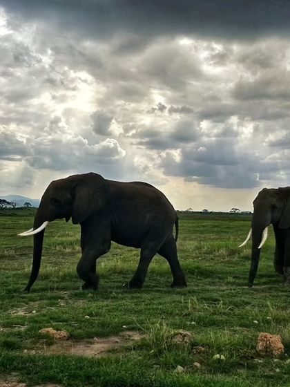 Giants & Other Jewels photo 17