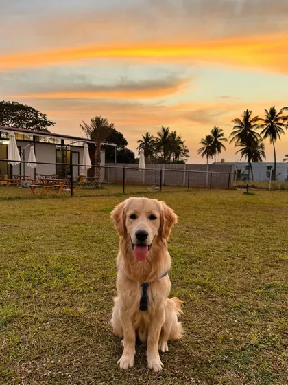 There's nothing quite like the golden hour at our camp. This is the perfect backdrop for making memories after a day full of play, with our modern cafe and facilities ready for you to unwind.