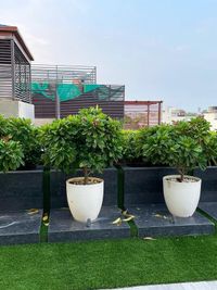 Terrace & Rooftop Gardens