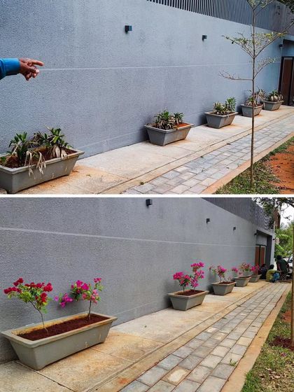 Balcony & Terrace Gardens photo 4