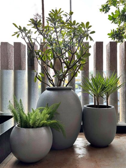 Pots That Pop: Our Terrapotta & Designer Range photo 14