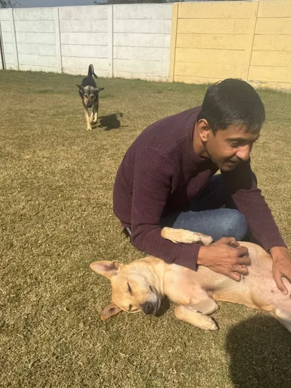 A peaceful moment of belly rubs in the sun. We create a calm and trusting environment for all pets.