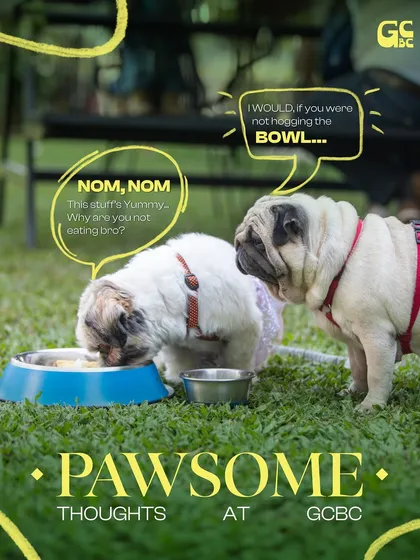 Pawsome thoughts at GCBC. It looks like a serious discussion about sharing is happening here. Don't worry, we have enough for everyone from our pet menu.