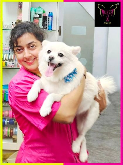 Fuzzy Wuzzy - Pet Grooming & Spa Spaniels, Retrievers & Large Breed Grooming photo 67