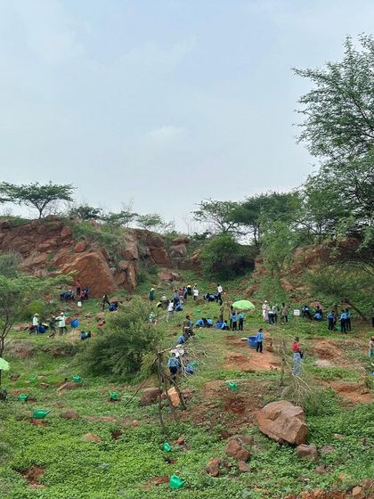 A wide shot showing the incredible scale of a community planting event, with dozens of students and volunteers dotting the hillside of the former quarry at Aravali Nagar Van.