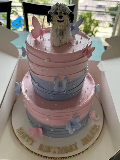 A closer look at Inaaya's birthday cake, featuring a hand-sculpted topper of their beloved dog. The pink and blue ombre tiers are decorated with delicate, edible butterflies.