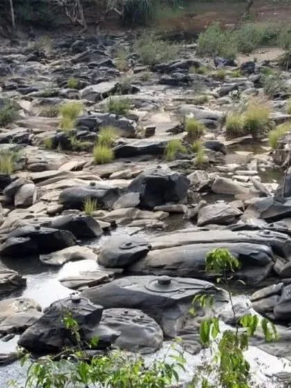 The unique Sahasralinga, where a thousand lingas are carved on rocks in the Shalmala river. This is a key highlight of our Yallapura exploration trip.