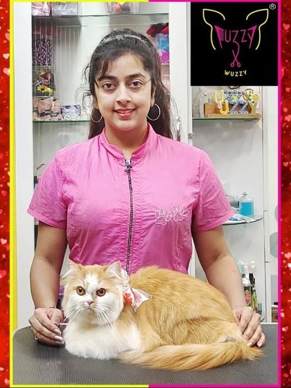 Fuzzy Wuzzy - Pet Grooming & Spa Expert Cat & Rabbit Grooming photo 19