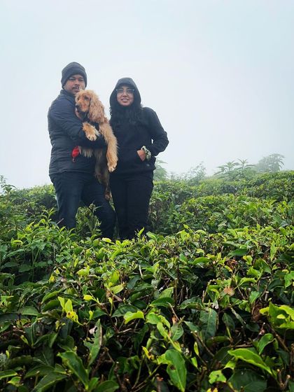 A beautiful family photo from our trip to a tea garden. We love traveling and making memories together.