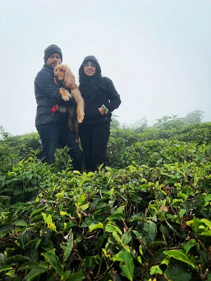 In a tea garden with my family. A beautiful memory from our travels.