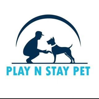 Play N Stay Pet