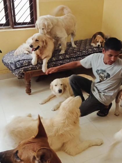 Trying to pet everyone at once. It's a happy challenge.