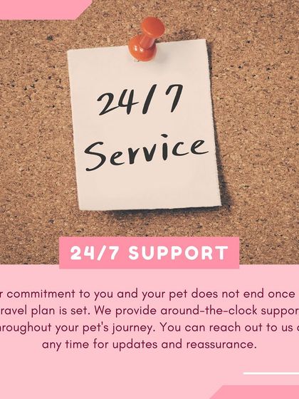 Global Pet Cab - Domestic Pet Relocation Your Pet Travel Questions, Answered photo 14