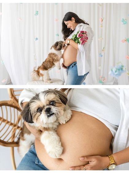 A collage from a Mother's Day mini-session, celebrating a dog mom's pregnancy. The images capture the sweet bond between the expectant mother and her Shih Tzu, including a close-up of the pup resting on her belly.