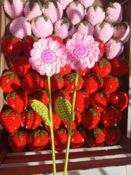 Two pink daisy stems, perfect for a sweet arrangement.