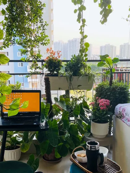 My balcony is my little paradise, my favorite spot for morning coffee and work. I can help you create a similar green oasis, no matter how small your space is. It’s all about choosing the right plants and arrangement to make it your personal retreat.