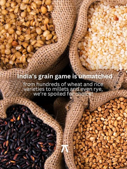India's grain heritage is unmatched, from countless varieties of wheat and rice to ancient millets. This image shows a beautiful assortment in burlap sacks, representing the focus of our collaboration with Loafer & Co. to celebrate our nation's agricultural bounty.