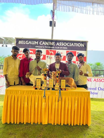 A victory photo from the Belgaum Canine Association show. My Corgis, Richhi and Stromy, both won their Champion Certificates.