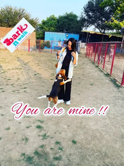 This is Bolt, and he considers himself the official greeter. I love building a personal connection with every dog that comes here. It's important to me that they feel loved and excited to see me and my team every single time.