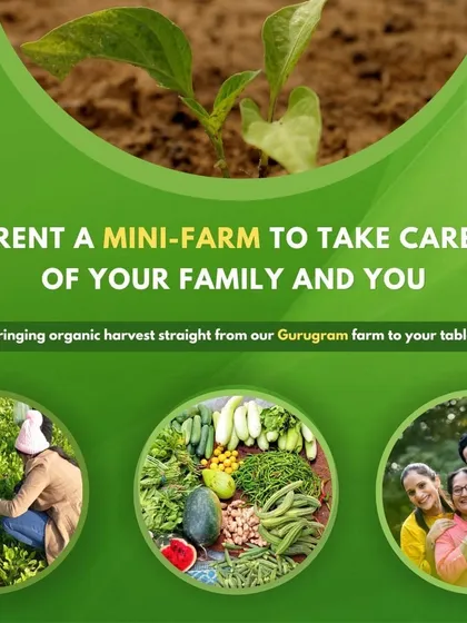 Take control of your family's nutrition by growing your own food. Our 'Rent a Mini Farm' program brings the organic harvest from our Gurugram farm to your table, with you as the farmer. It's a rewarding way to connect with your food.