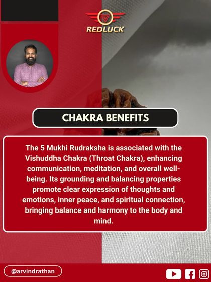 Arvind Rathan - Personalized Spiritual Remedies Personalized Rudraksha Recommendations photo 28