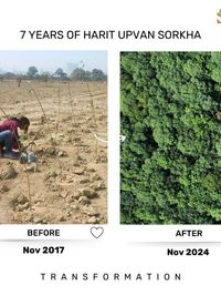 Corporate Sustainability & CSR Solutions