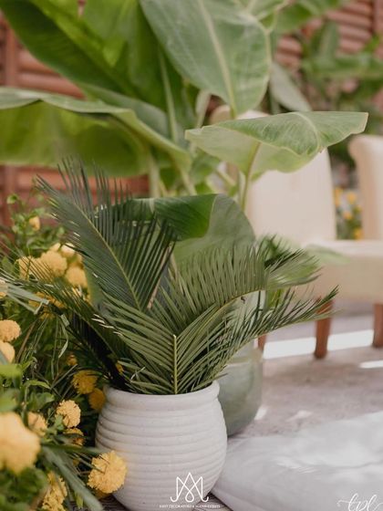 Elegant White & Green Weddings photo 18