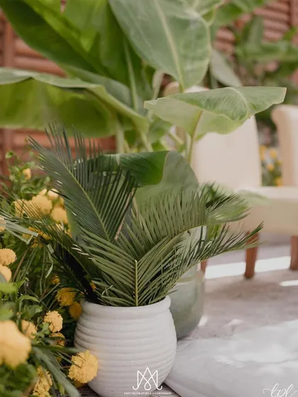 The beauty of this design is in its simplicity. Potted plants and natural greenery add a fresh, organic feel to the elegant wedding decor.