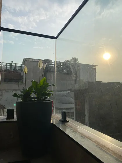 A single Peace Lily in a stylish pot catches the evening sun, showing that sometimes one perfect plant is all you need to create a moment of tranquility on your balcony.