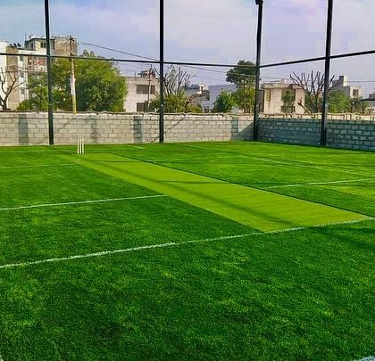 Professional Sports Turf photo 12