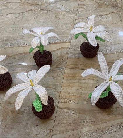 Bulk Orders for Events photo 7