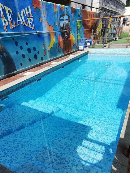 A clear view of our custom-built dog swimming pool, complete with easy-access steps and surrounded by fun, colorful art.