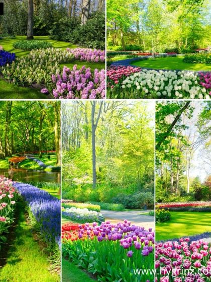 Hygrinz - Garden Design & Landscaping Lush Lawns & Hardscaping photo 10